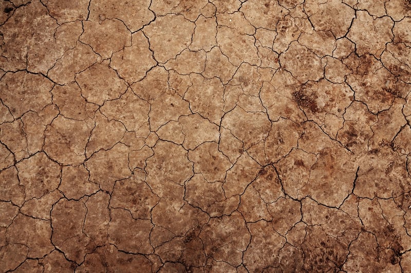Enchanted Soil Enhancer